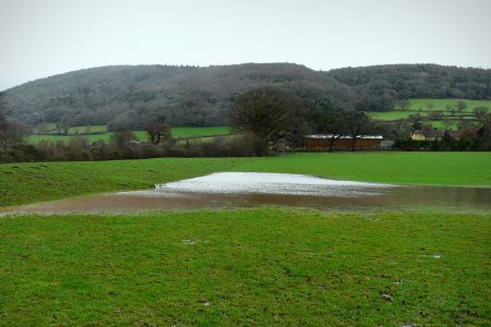 Working with natural processes to reduce flood risk