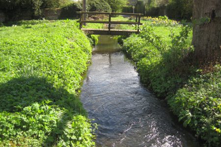 Emergence of an ephemeral chalk stream in 2014 at Assendon, Oxfordshire