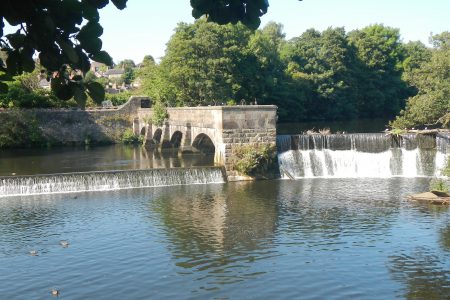 Training day for ‘Healthy Weirs’ volunteers