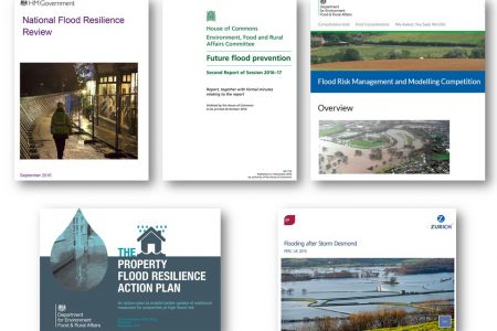 Flood resilience in a changing environment: what do recent reviews tell us?