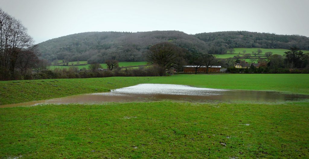 Holnicote-natural-flood-management-measures