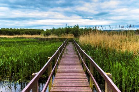 Online catalogue of nature-based flood risk management projects in the UK