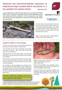 MSc-poster-salmonid responses to LWD-Sarah Usher