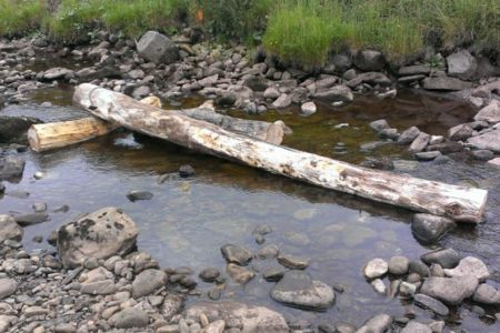 Salmonid and macroinvertebrate responses to engineered large wooded debris structures in a low gradient UK upland stream