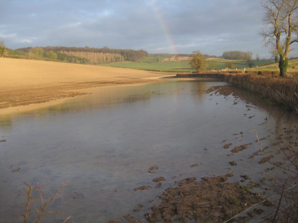 Assendon Stream at its source 