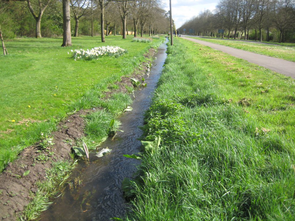 Assendon stream making its way to Henley-on Thames in April 2014