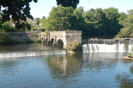 STEM week activities bring the River Holme to life for primary pupils