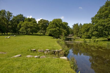 Analysis of local authority areas where planting trees could help reduce flood risk