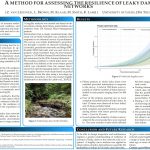 Zora van Leeuwen's poster on leaky dam resilience