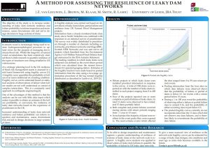 Zora van Leeuwen's poster on leaky dam resilience