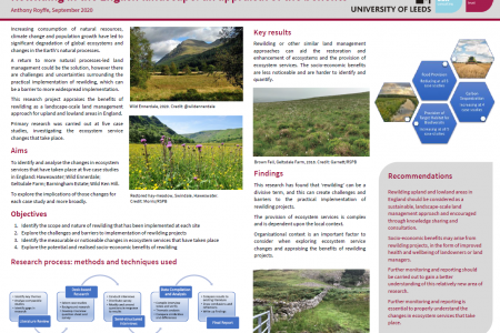 Rewilding in the English landscape: an appraisal of the benefits