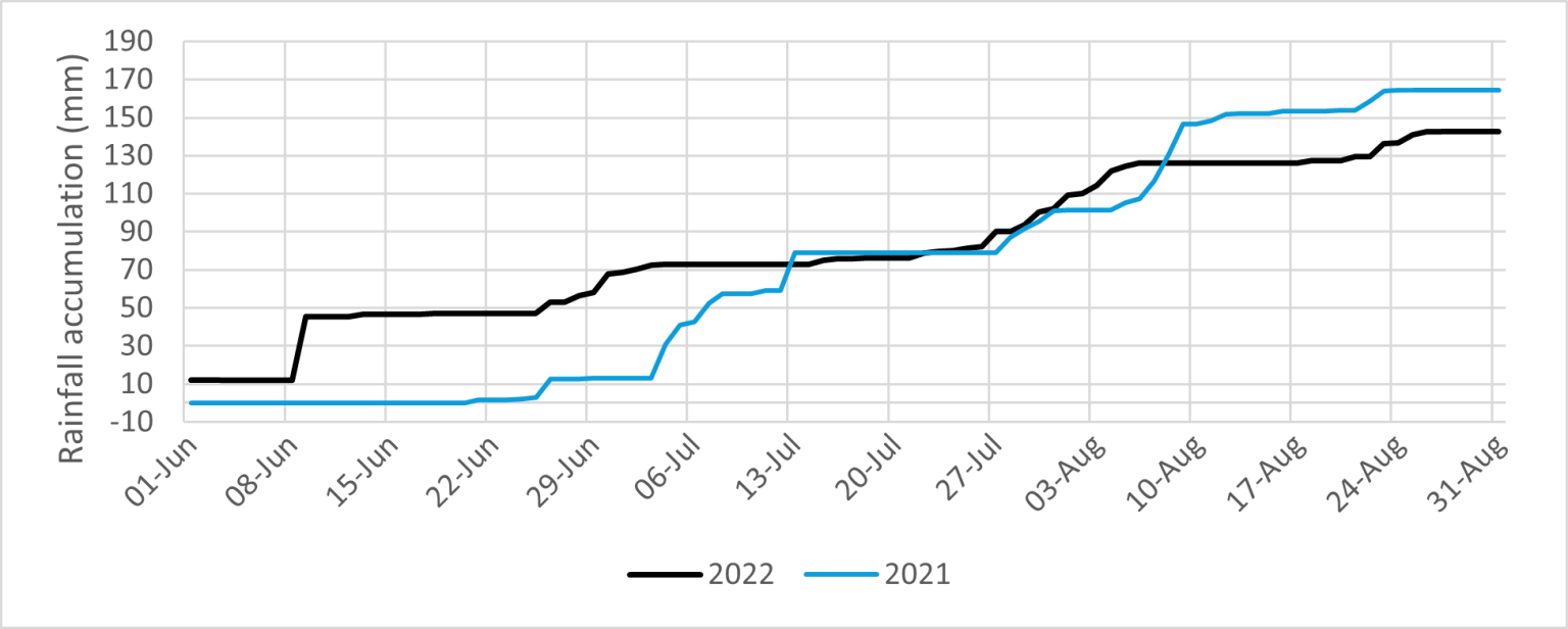Reflections on the summer weather What does our weather station data
