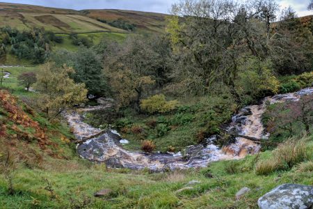 How effective are leaky dams at reducing the downstream flood peak?