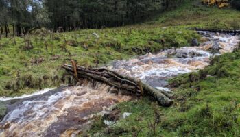 Leaky dam flood peak reduction Leaky dam flood peak reduction