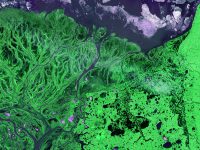 Image credit: USGS (unsplash)