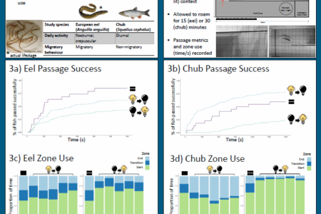 Research reveals how changing light levels impact fish passage