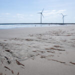 Hasaki_Beach,_Ibaraki_17